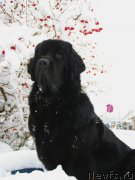 Превью фото № 168755