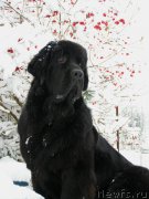 Превью фото № 168757