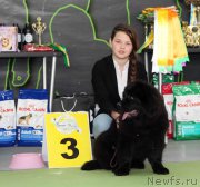 Превью фото № 168782