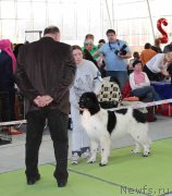 Превью фото № 168788