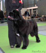 Превью фото № 168789