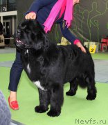 Превью фото № 168792