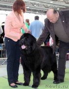 Превью фото № 168795