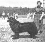 Превью фото № 1688