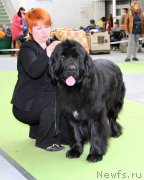 Превью фото № 168810