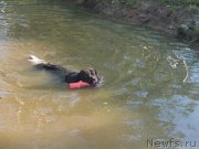 Превью фото № 168883