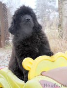 Превью фото № 168916