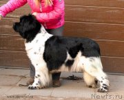 Превью фото № 168951