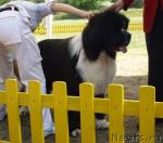 Превью фото № 16907