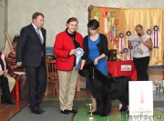 Превью фото № 169088