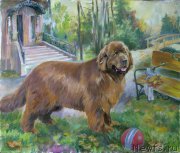 Превью фото № 169094