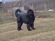 Превью фото № 169097