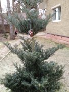 Превью фото № 169126