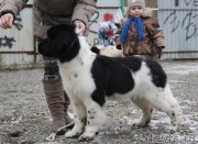 Превью фото № 169144