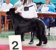 Превью фото № 169147