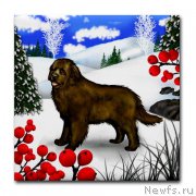 Превью фото № 169161