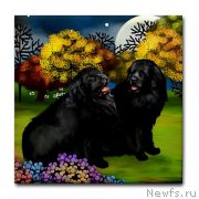 Превью фото № 169162