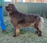 Превью фото № 169173