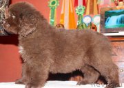 Превью фото № 169190