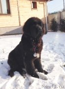 Превью фото № 169238