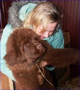 Превью фото № 169395