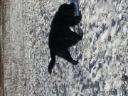 Превью фото № 169405