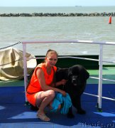 Превью фото № 169448