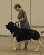 Превью фото № 169497