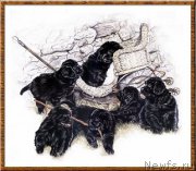 Превью фото № 169506