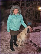 Превью фото № 169556