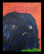 Превью фото № 169584