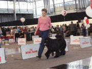 Превью фото № 169608