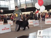 Превью фото № 169609