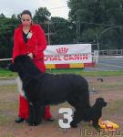 Превью фото № 16963