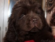 Превью фото № 169637