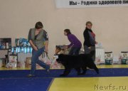 Превью фото № 169640