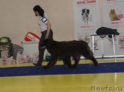 Превью фото № 169654