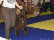 Превью фото № 169655