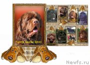 Превью фото № 169660