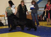 Превью фото № 169666