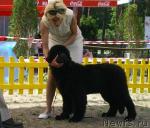 Превью фото № 16967