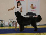 Превью фото № 169671