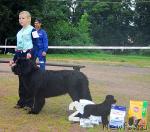 Превью фото № 16970