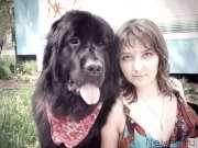 Превью фото № 169744