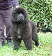 Превью фото № 169762