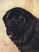 Превью фото № 169788