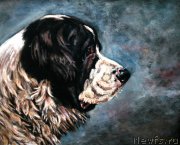 Превью фото № 169789