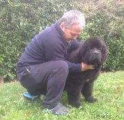 Превью фото № 169798