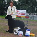 Превью фото № 16982