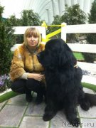 Превью фото № 169880